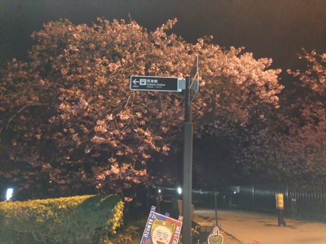 ガクプロ就活短期合宿　無事終了