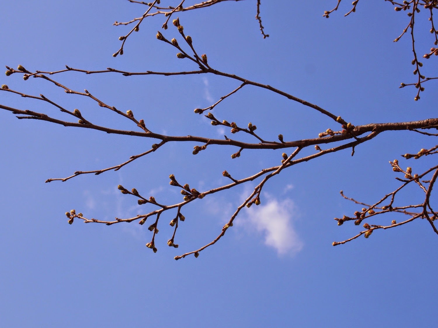 半期に1度のスタッフ合宿スタート　今回からついにあれが登場！！